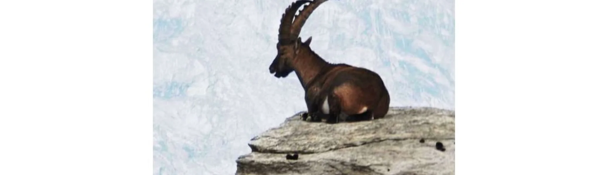 Deckblatt Heft 4 2025 | © DAV Magdeburg