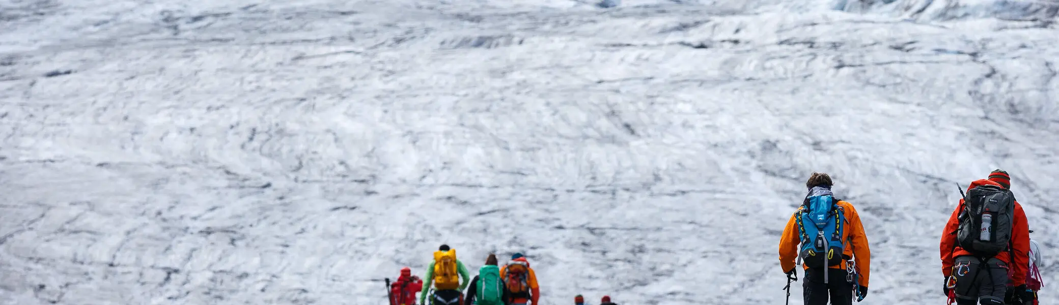 Eine Hochtourengruppe wandert über das Eisfeld über den Gepatschferner zur Rauhekopfhütte. | © DAV/Marco Kost