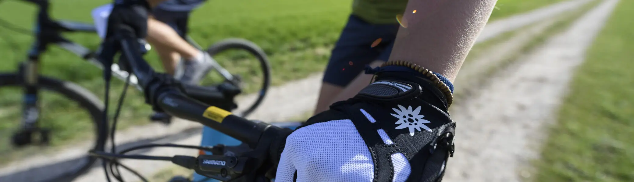 Zwei Personen fahren mit ihren Mountainbikes durch die Natur. Im Hintergrund die Berge. | © DAV/Wolfgang Ehn