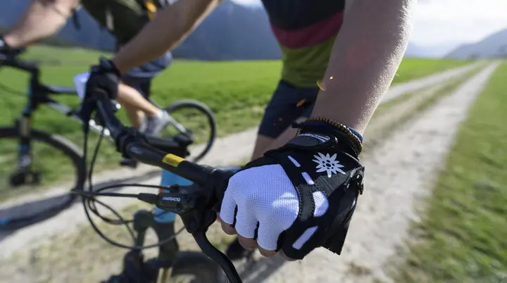 Zwei Personen fahren mit ihren Mountainbikes durch die Natur. Im Hintergrund die Berge. | © DAV/Wolfgang Ehn