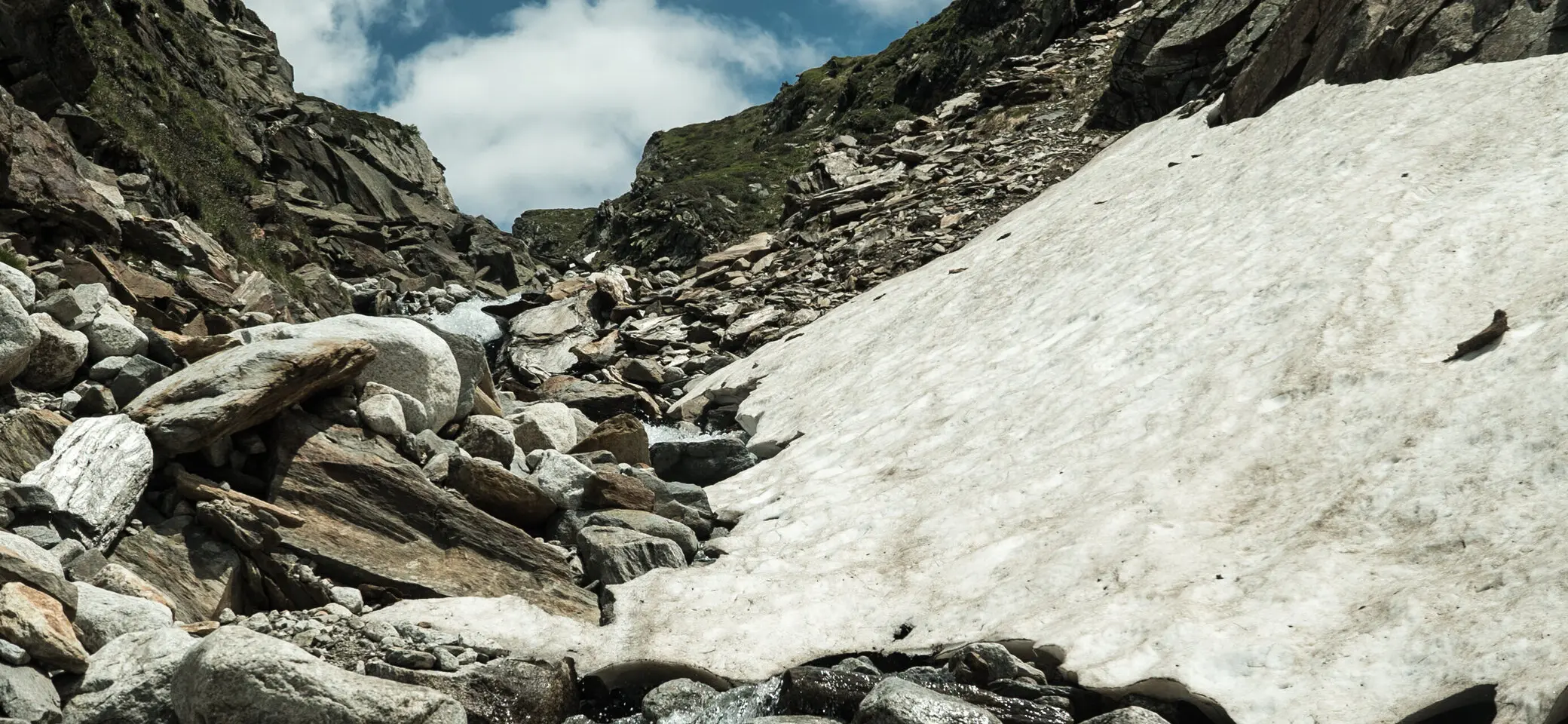Nahaufnahme: letzter Schnee in den Alpen | © DAV/Marcel Dambon